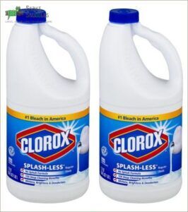 Clorox Splash-Less Bleach, Regular, 2 B073HMPNWL