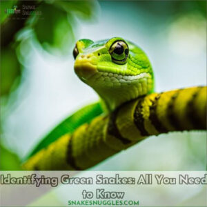 green snake identification