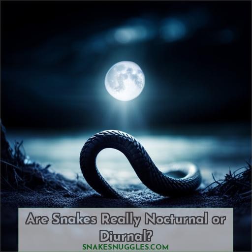 Are Snakes Really Nocturnal or Diurnal