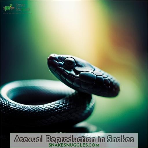 Asexual Reproduction in Snakes