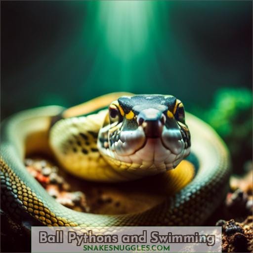 Ball Pythons and Swimming