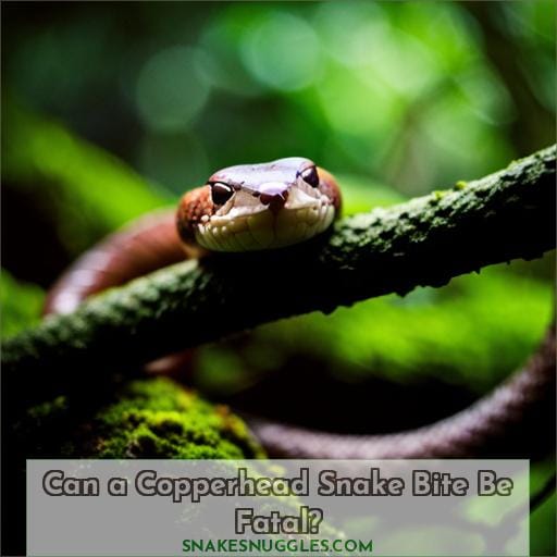 Can a Copperhead Snake Bite Be Fatal