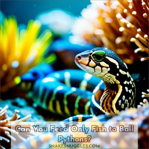 Can You Feed Only Fish to Ball Pythons