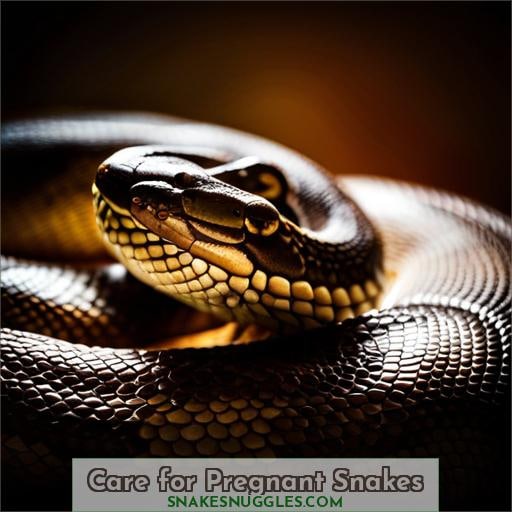 Care for Pregnant Snakes