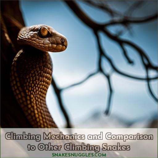 Climbing Mechanics and Comparison to Other Climbing Snakes