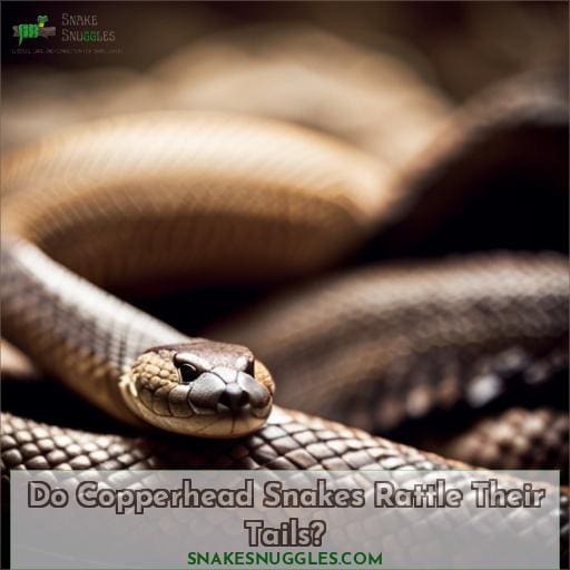 Do Copperhead Snakes Rattle Their Tails