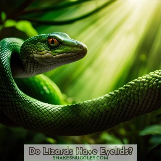 Do Lizards Have Eyelids