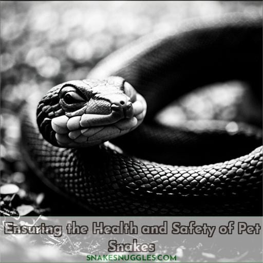 Ensuring the Health and Safety of Pet Snakes