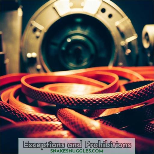 Exceptions and Prohibitions