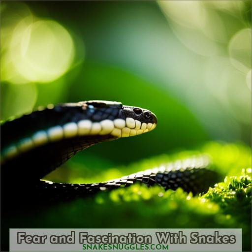 Fear and Fascination With Snakes