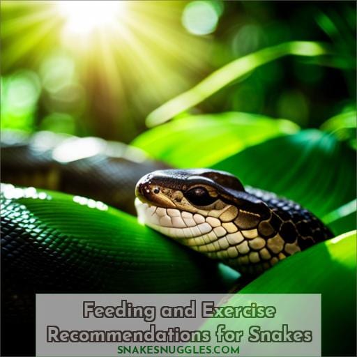 Feeding and Exercise Recommendations for Snakes