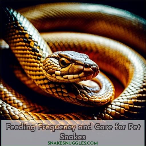 Feeding Frequency and Care for Pet Snakes