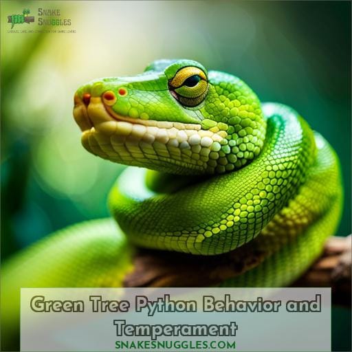 Green Tree Python Behavior and Temperament