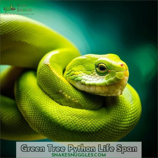 Green Tree Python Life Span