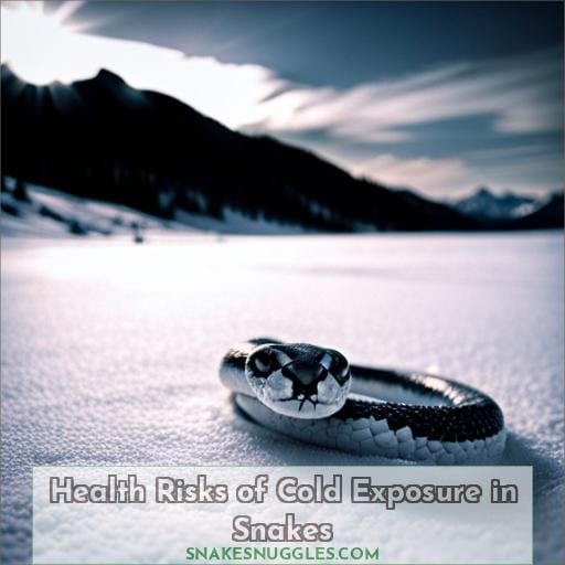 Health Risks of Cold Exposure in Snakes