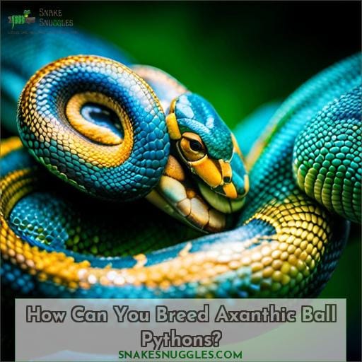 How Can You Breed Axanthic Ball Pythons