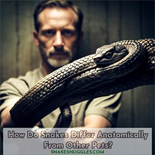 How Do Snakes Differ Anatomically From Other Pets