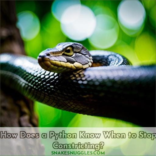 How Does a Python Know When to Stop Constricting