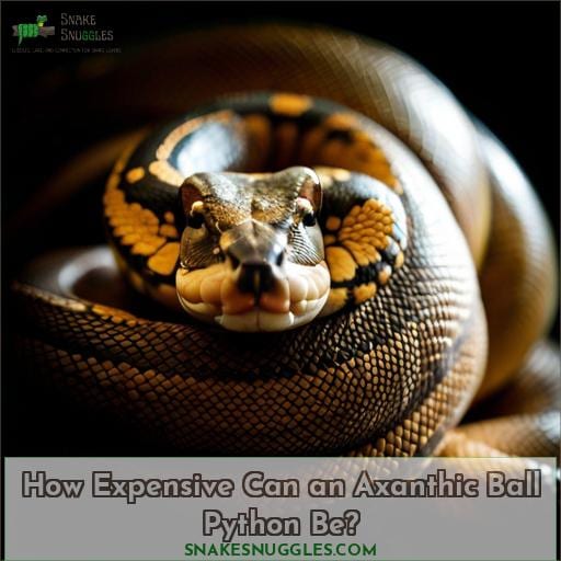 How Expensive Can an Axanthic Ball Python Be