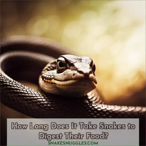 how long does it take a snake to digest