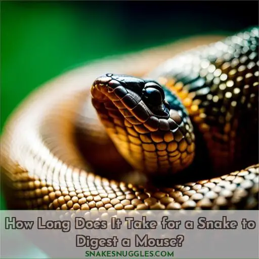 How Long Does It Take for a Snake to Digest a Mouse