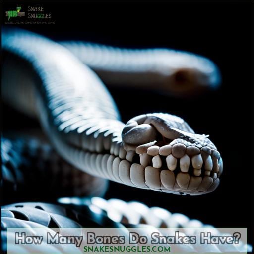 How Many Bones Do Snakes Have