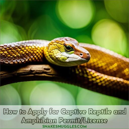 How to Apply for Captive Reptile and Amphibian Permit/License