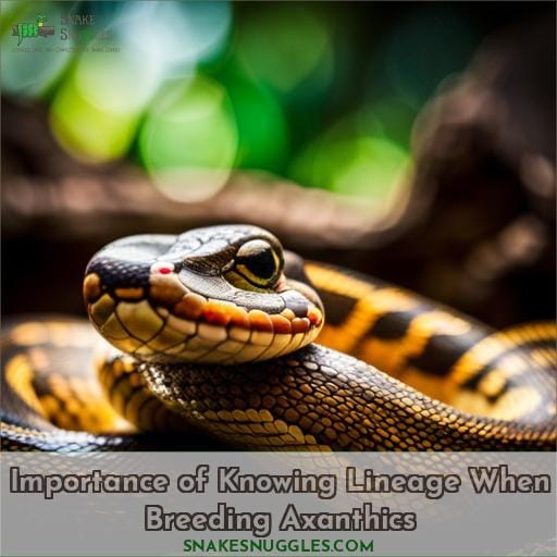 Importance of Knowing Lineage When Breeding Axanthics