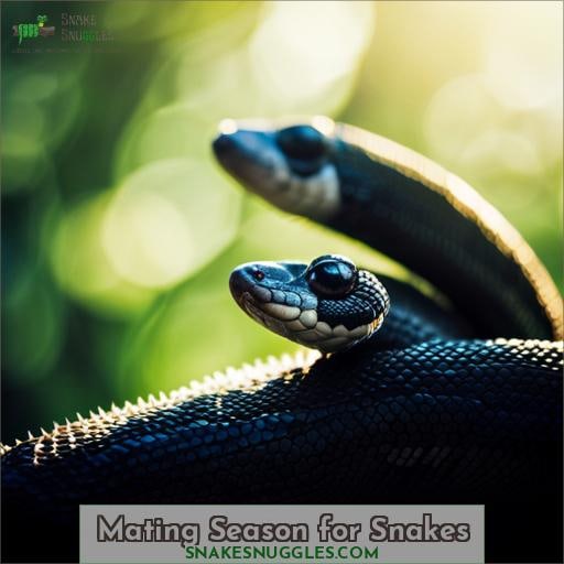Mating Season for Snakes