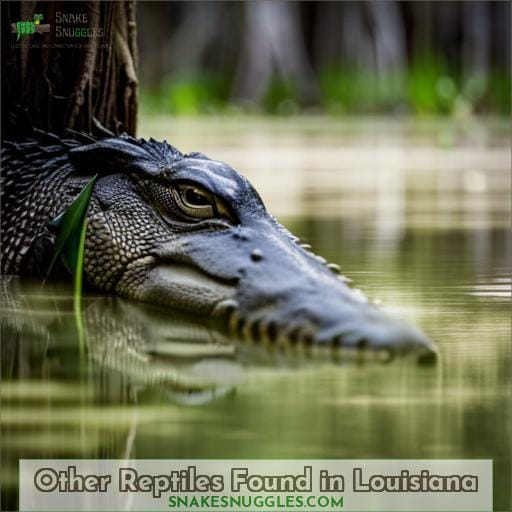 Other Reptiles Found in Louisiana
