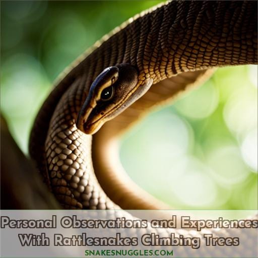 Personal Observations and Experiences With Rattlesnakes Climbing Trees