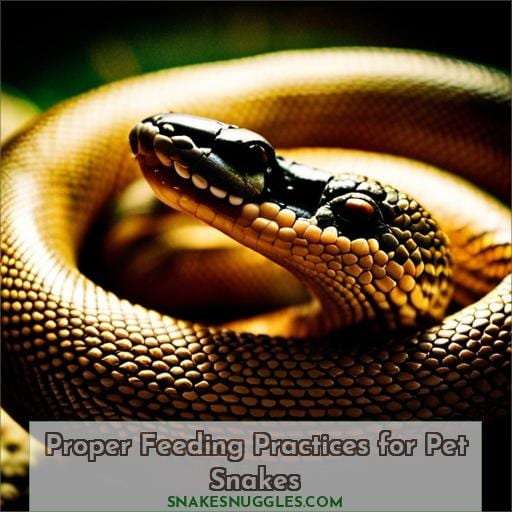Proper Feeding Practices for Pet Snakes