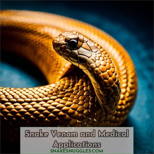 Snake Venom and Medical Applications