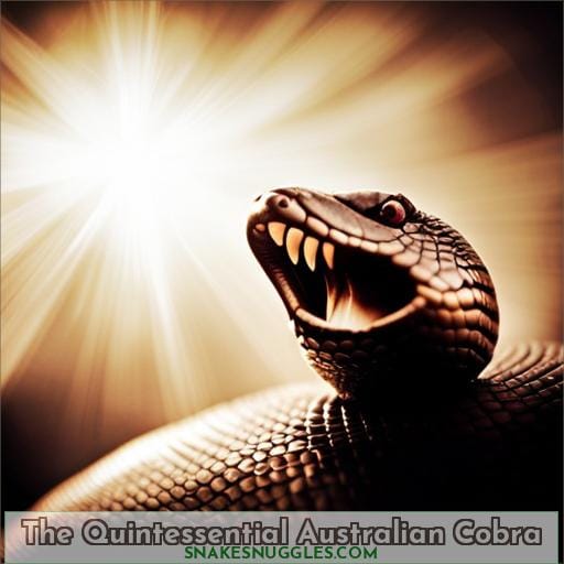The Quintessential Australian Cobra
