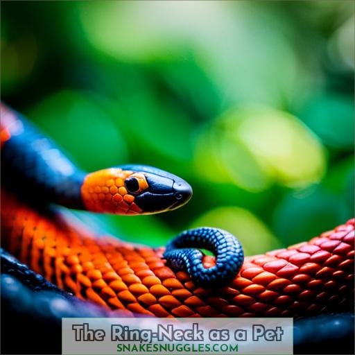 The Ring-Neck as a Pet