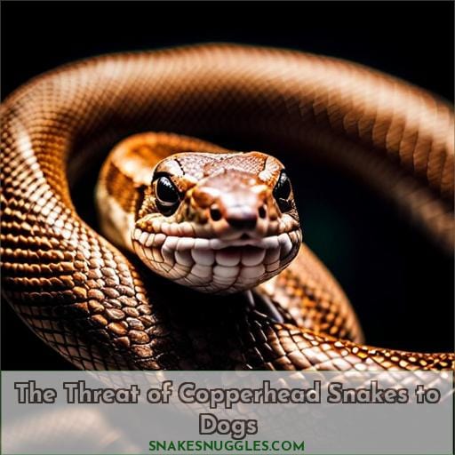 The Threat of Copperhead Snakes to Dogs