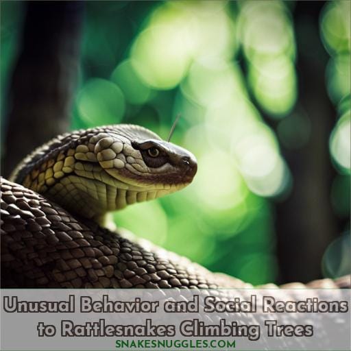 Unusual Behavior and Social Reactions to Rattlesnakes Climbing Trees