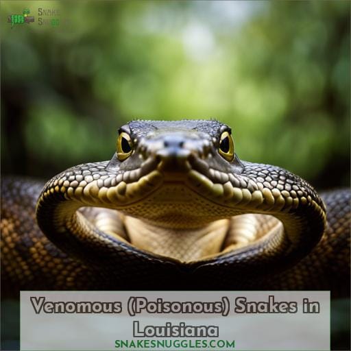 Venomous (Poisonous) Snakes in Louisiana