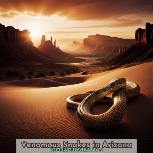 Venomous Snakes in Arizona