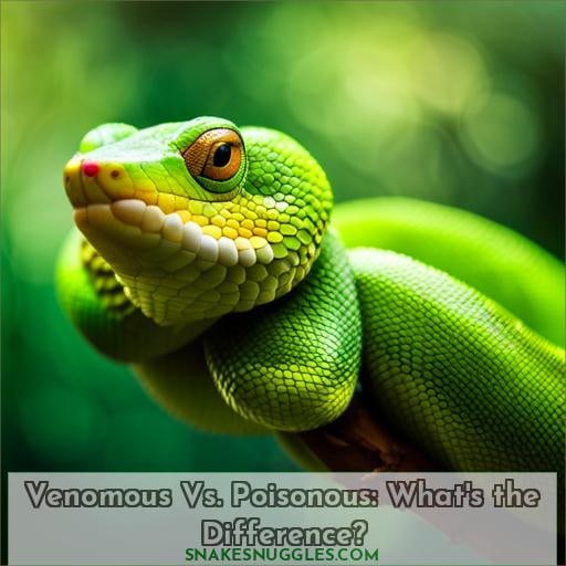 Venomous Vs. Poisonous: What