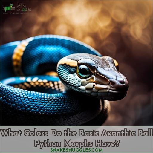 What Colors Do the Basic Axanthic Ball Python Morphs Have