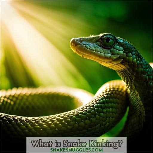 What is Snake Kinking