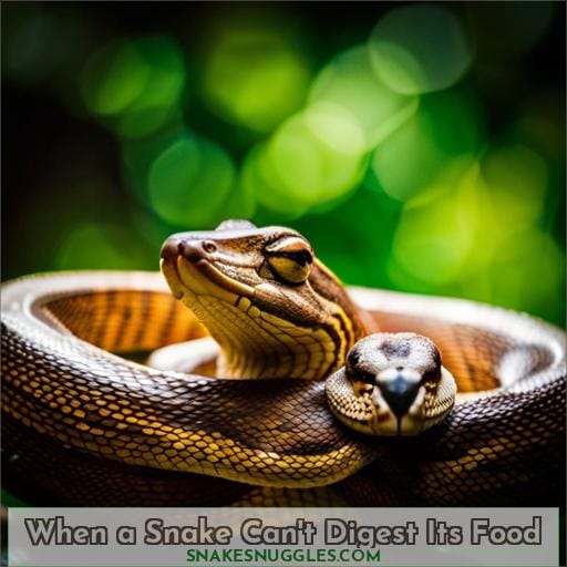 When a Snake Can