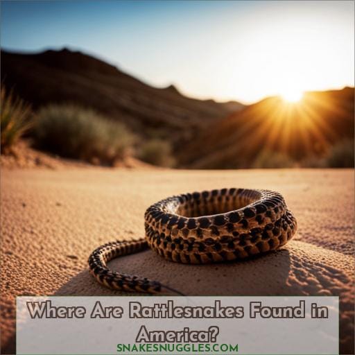 Where Are Rattlesnakes Found in America