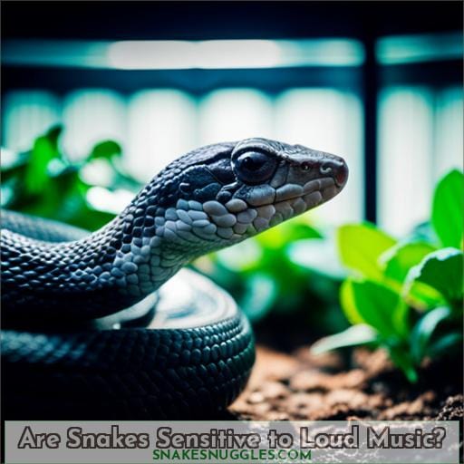 Are Snakes Sensitive to Loud Music