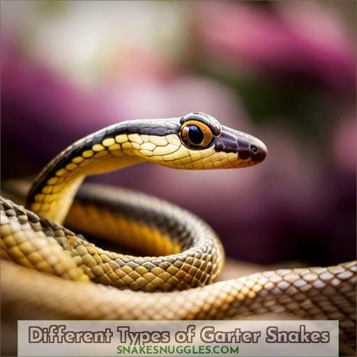 Different Types of Garter Snakes