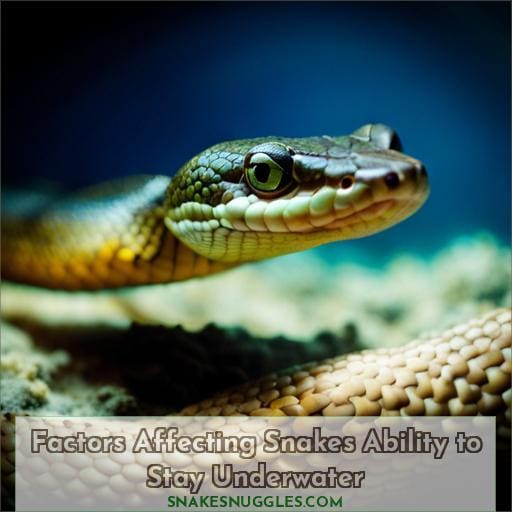 Factors Affecting Snakes Ability to Stay Underwater