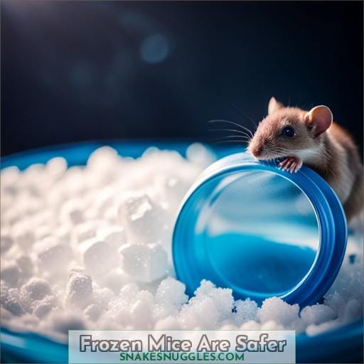 Frozen Mice Are Safer