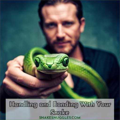 Handling and Bonding With Your Snake