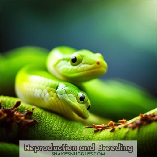 Reproduction and Breeding